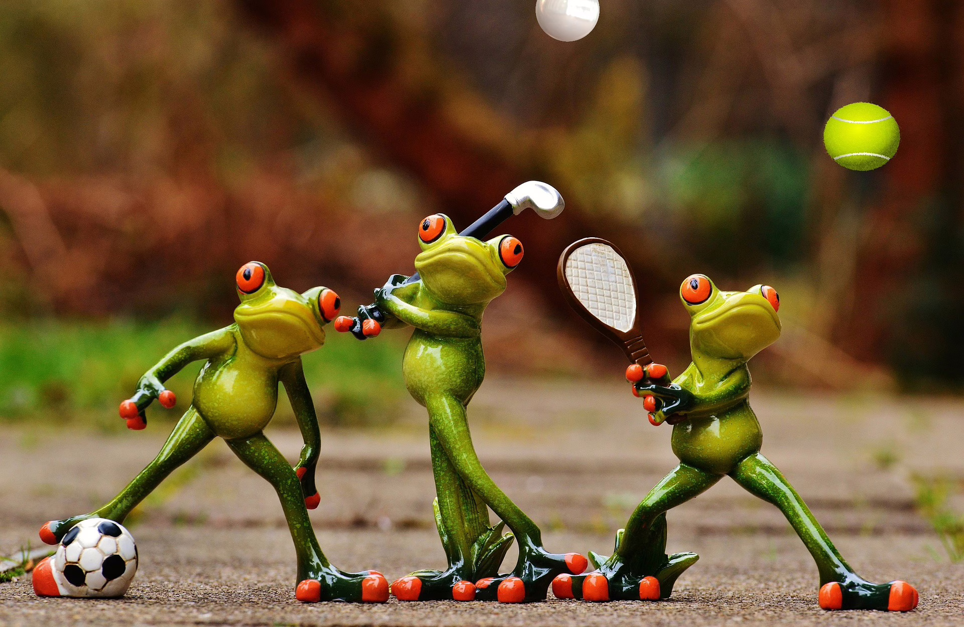 Sportraad Wageningen