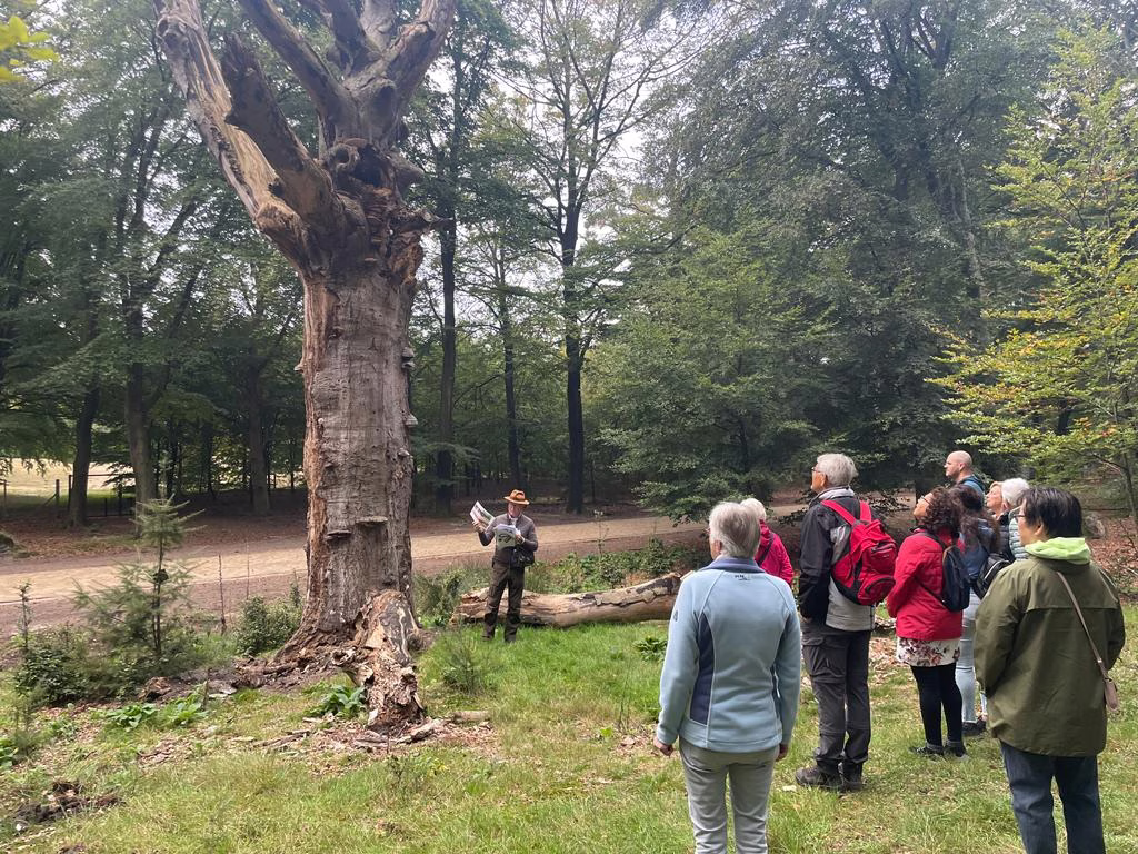 Slotwandeling Hoge Veluwe, wandeluitdaging 2024