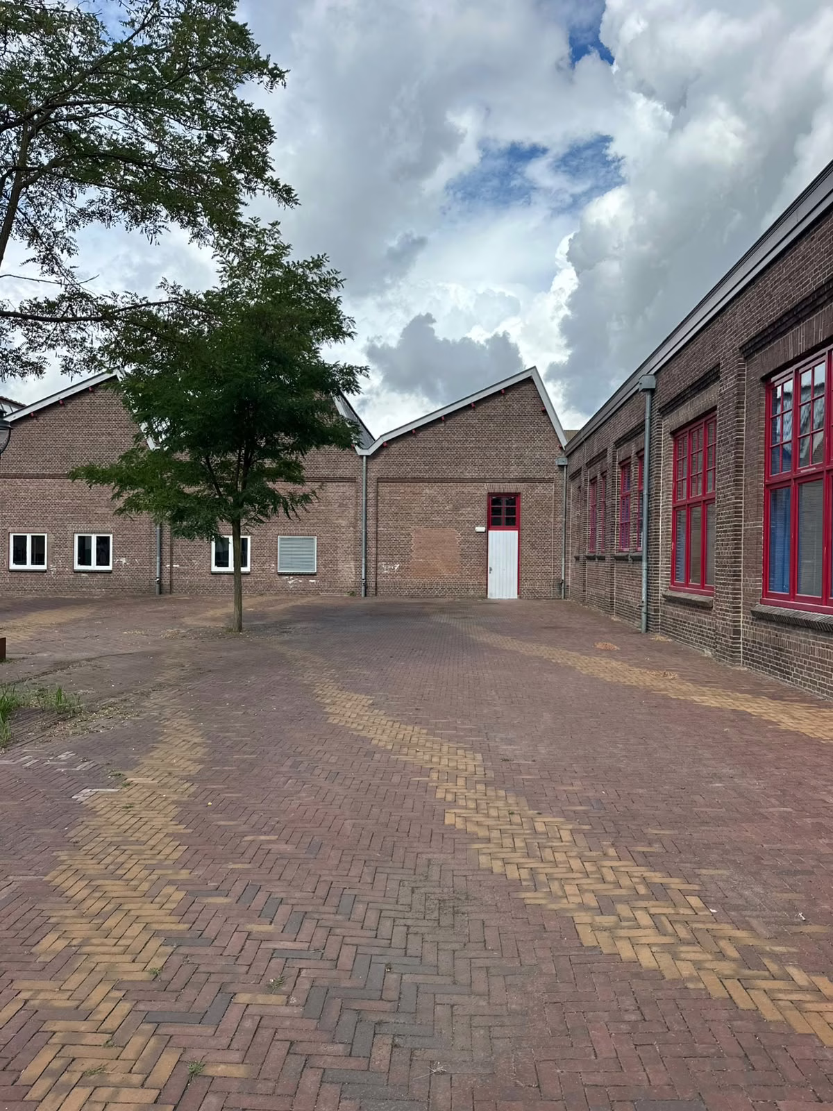Skateboard tour Ede Westhal/Enka terrein